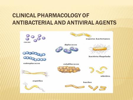 CLINICAL PHARMACOLOGY OF ANTIBACTERIAL AND ANTIVIRAL AGENTS