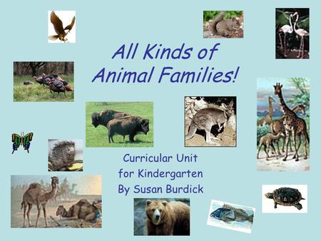 All Kinds of Animal Families! Curricular Unit for Kindergarten By Susan Burdick.