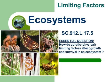 Ecosystems Limiting Factors SC.912.L.17.5 ESSENTIAL QUESTION: