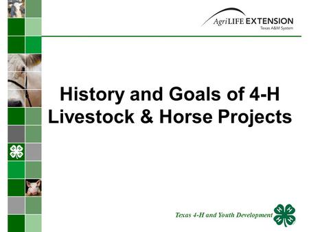 History and Goals of 4-H Livestock & Horse Projects Texas 4-H and Youth Development.