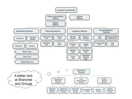 A better look at Branches and Groups. Org Chart Definitions Branches are used when the number of Divisions or Groups exceeds the span of control and can.