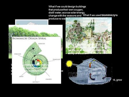 What if we could design buildings that produce their own oxygen, distill water, accrue solar energy, change with the seasons and produce no waste? What.