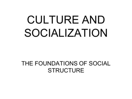 CULTURE AND SOCIALIZATION THE FOUNDATIONS OF SOCIAL STRUCTURE.