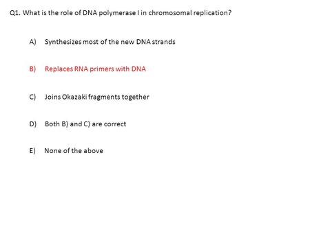 Q1. What is the role of DNA polymerase I in chromosomal replication? A) Synthesizes most of the new DNA strands E) None of the above C)Joins Okazaki fragments.