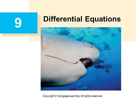 Copyright © Cengage Learning. All rights reserved. 9 Differential Equations.