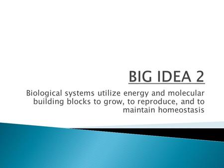 BIG IDEA 2 Biological systems utilize energy and molecular building blocks to grow, to reproduce, and to maintain homeostasis.