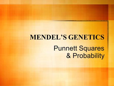 MENDEL’S GENETICS Punnett Squares & Probability. Before we begin, let’s get a few terms straight… Phenotype: The PHysical APPEARANCE of an inherited trait.