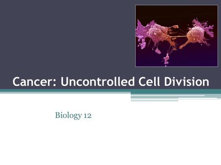 Cancer: Uncontrolled Cell Division Biology 12. Some Stats from WHO: Cancer is a leading cause of death group worldwide and accounted for 7.4 million deaths.