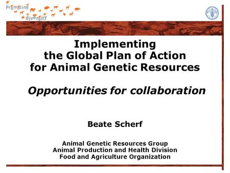 Implementing the Global Plan of Action for Animal Genetic Resources Opportunities for collaboration Beate Scherf Animal Genetic Resources Group Animal.