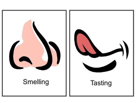 Smelling Tasting. Touching Hearing Seeing Name: ___________________________ Due Date: _______ Dear Kindergarten Families, As part of our Science curriculum,