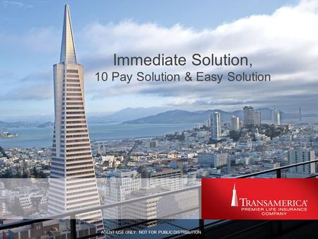 Immediate Solution, 10 Pay Solution & Easy Solution