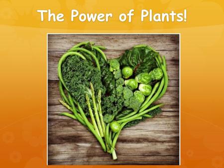 The Power of Plants!. Why Are Plants So Good For You?  High in fiber  High in vitamins  High in antioxidants.