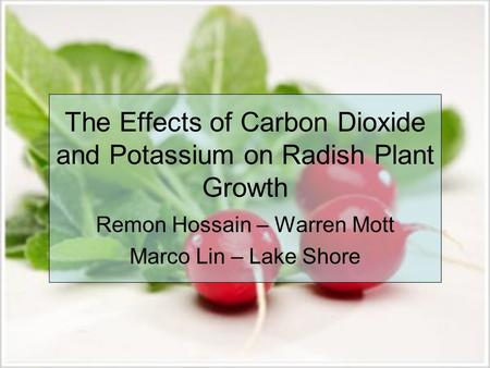 The Effects of Carbon Dioxide and Potassium on Radish Plant Growth Remon Hossain – Warren Mott Marco Lin – Lake Shore.