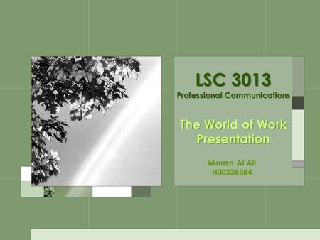 LSC 3013 Professional Communications The World of Work Presentation Mouza Al Ali H00235384.