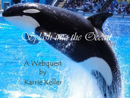 Splash into the Ocean A Webquest by Karrie Keller.