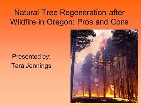 Natural Tree Regeneration after Wildfire in Oregon: Pros and Cons Presented by: Tara Jennings.