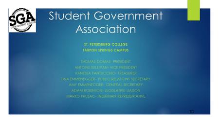 Student Government Association ST. PETERSBURG COLLEGE TARPON SPRINGS CAMPUS THOMAS DOMAS- PRESIDENT ANTOINE SULLIVAN- VICE PRESIDENT VANESSA FANTUCCHIO-