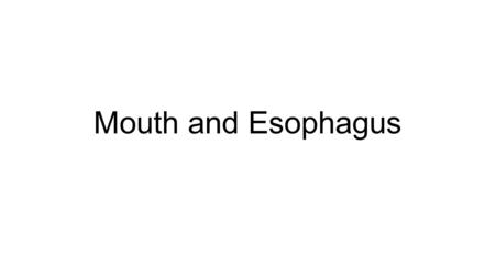 Mouth and Esophagus.