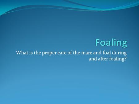 What is the proper care of the mare and foal during and after foaling?