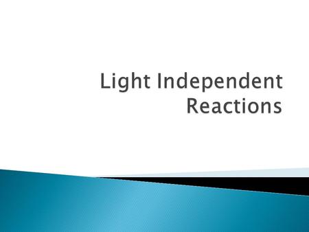  Determine how the plant utilizes the energy from the light dependent reactions to build sugars from CO 2.  Identify some common adaptations to this.