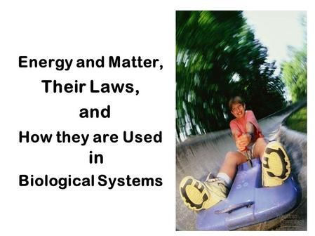 Energy and Matter, Their Laws, and How they are Used in Biological Systems.