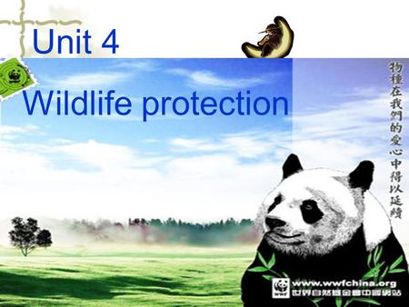 Period 1&2: 幻灯片 9-38 页 Unit 4 Wildlife protection.