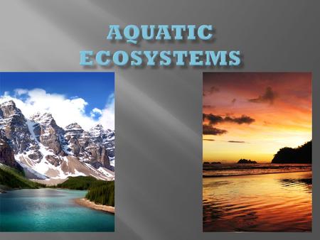 -Aquifers -Springs -Ponds -Lakes -Creeks/Streams -Rivers -Wetlands Makes up < 3 % of water on earth.