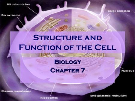 Structure and Function of the Cell Biology Chapter 7.