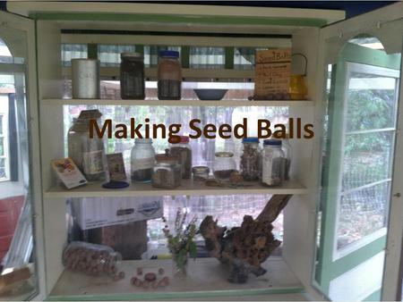 Making Seed Balls. What You’ll Need Clay - Compost - Seed- Water.