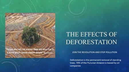 THE EFFECTS OF DEFORESTATION JOIN THE REVOLUTION AND STOP POLLUTION Deforestation is the permanent removal of standing trees. 70% of the Puruvian Amazon.