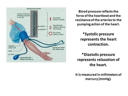 Blood pressure reflects the force of the heartbeat and the resistance of the arteries to the pumping action of the heart. *Systolic pressure represents.