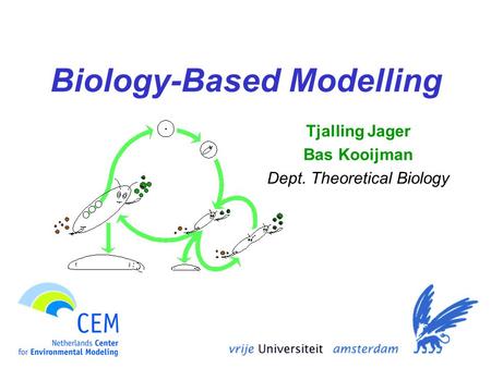 Biology-Based Modelling Tjalling Jager Bas Kooijman Dept. Theoretical Biology.