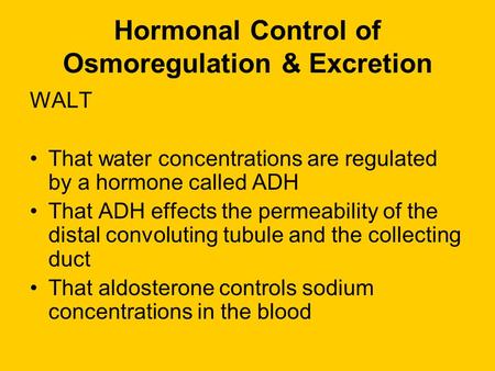 Hormonal Control of Osmoregulation & Excretion WALT That water concentrations are regulated by a hormone called ADH That ADH effects the permeability.