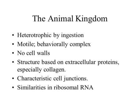 The Animal Kingdom Heterotrophic by ingestion