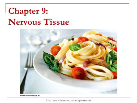 Chapter 9: Nervous Tissue © 2013 John Wiley & Sons, Inc. All rights reserved.