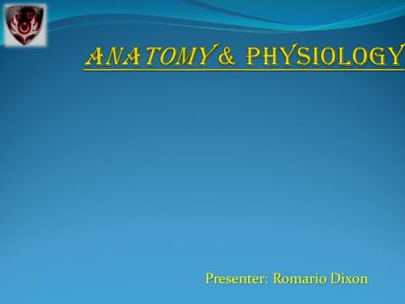 Presenter: Romario Dixon. Types of Nervous Tissue Nervous tissue consists of two main types of cells: neurons and neuroglia. Nerve cells, or neurones(also.