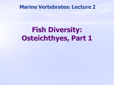 Fish Diversity: Osteichthyes, Part 1 Marine Vertebrates: Lecture 2.