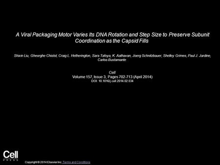 A Viral Packaging Motor Varies Its DNA Rotation and Step Size to Preserve Subunit Coordination as the Capsid Fills Shixin Liu, Gheorghe Chistol, Craig.