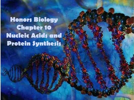 Honors Biology Chapter 10 Nucleic Acids and Protein Synthesis.