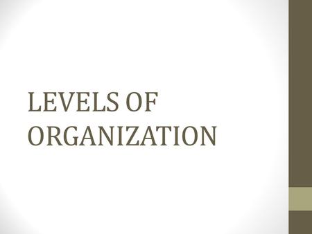 LEVELS OF ORGANIZATION. Organism Organ Systems Organs Tissues Cells.