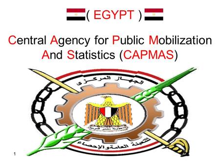 11 Central Agency for Public Mobilization And Statistics (CAPMAS) ( EGYPT )