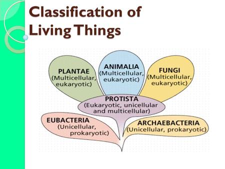 Classification of Living Things. _______________ = branch of biology that names and groups organisms according to their _________________________ Does.