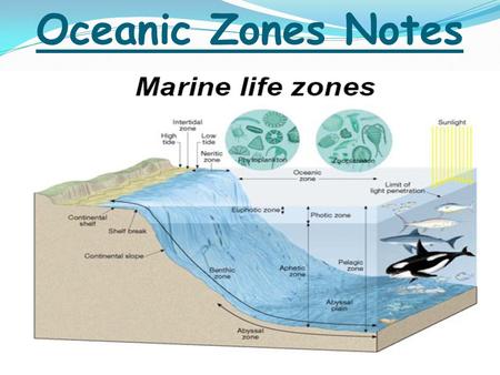 Oceanic Zones Notes.