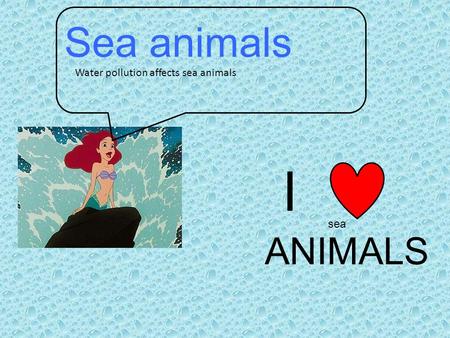 Sea animals Water pollution affects sea animals I ANIMALS sea.