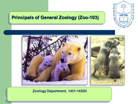 1 Principals of General Zoology (Zoo-103) Zoology Department, 1431-1432H.