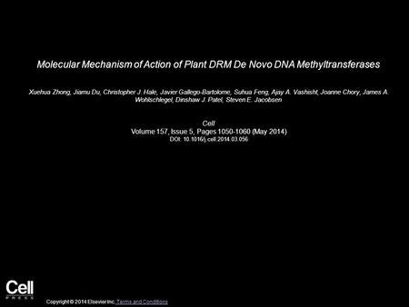 Molecular Mechanism of Action of Plant DRM De Novo DNA Methyltransferases Xuehua Zhong, Jiamu Du, Christopher J. Hale, Javier Gallego-Bartolome, Suhua.