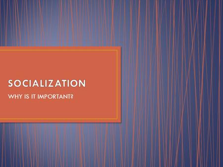 WHY IS IT IMPORTANT?. Socialization is the process of social interaction It is lifelong It is through socialization that individuals acquire a self-identity.