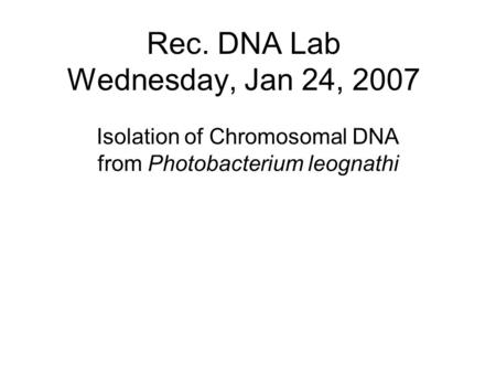 Rec. DNA Lab Wednesday, Jan 24, 2007 Isolation of Chromosomal DNA from Photobacterium leognathi.