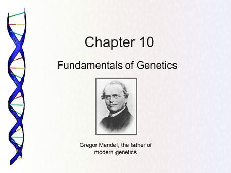 Fundamentals of Genetics