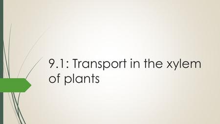 9.1: Transport in the xylem of plants. Transpiration The loss of water vapour from leaves and other aerial parts of the plant. 90% of water absorbed by.